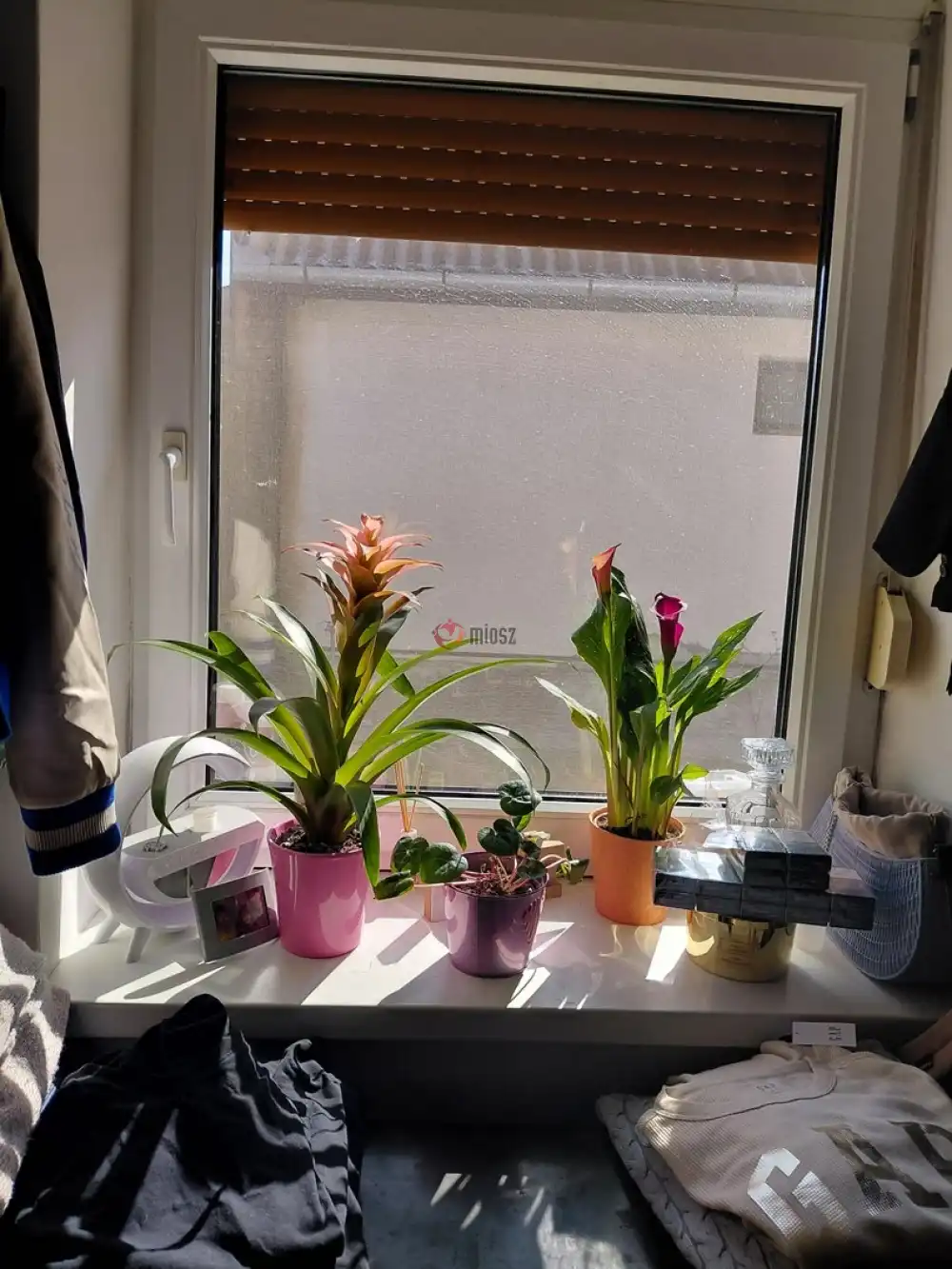 Pest megye - Inárcs