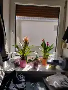 Pest megye - Inárcs