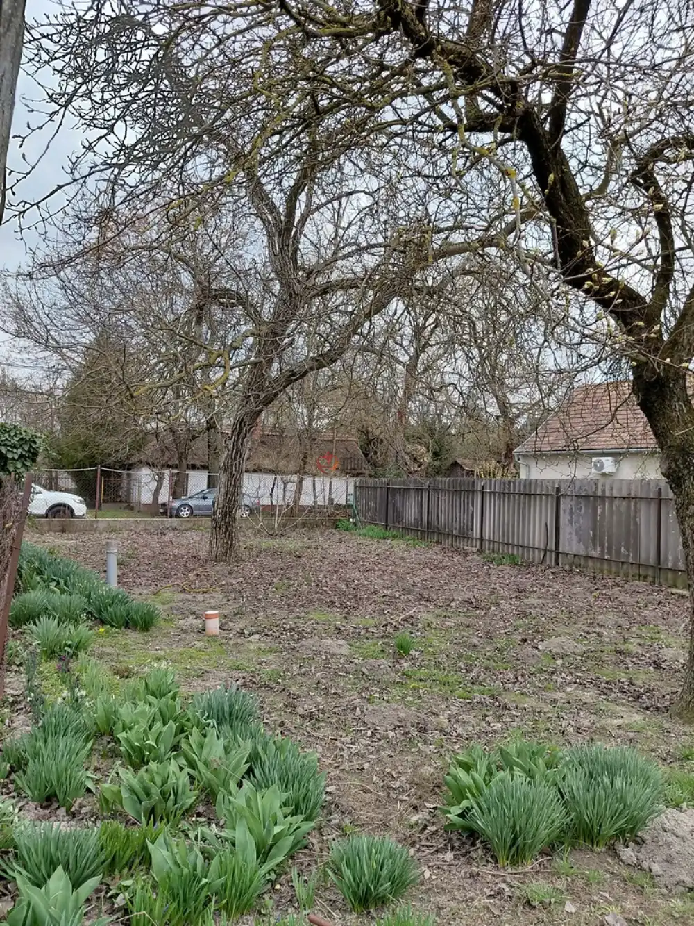 Bács-Kiskun megye - Kunszentmiklós