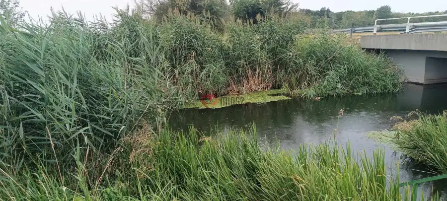 eladó  Építési telek, Kunpeszér