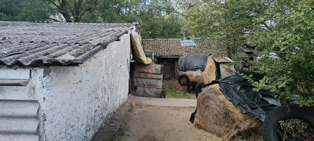 Bács-Kiskun megye - Kunszentmiklós